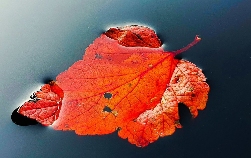 Фотография автора Юлия Егорова