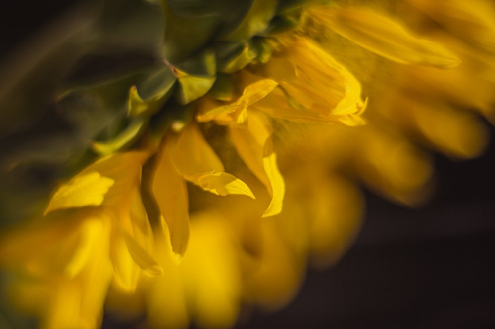 Photograph by Evgeniya Biriukova