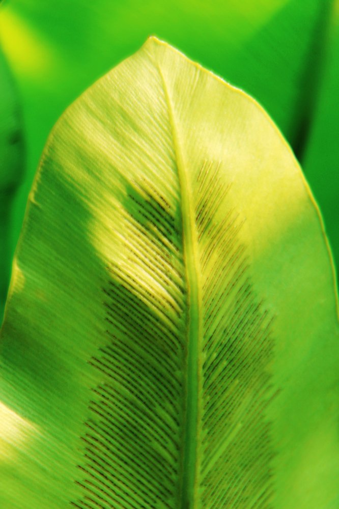 Photograph by Mijanur Rahman Md.