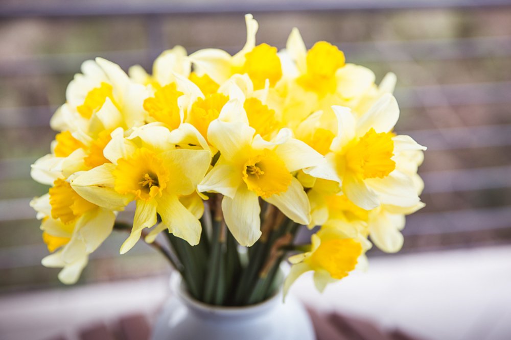 Photograph by Evgeniya Biriukova