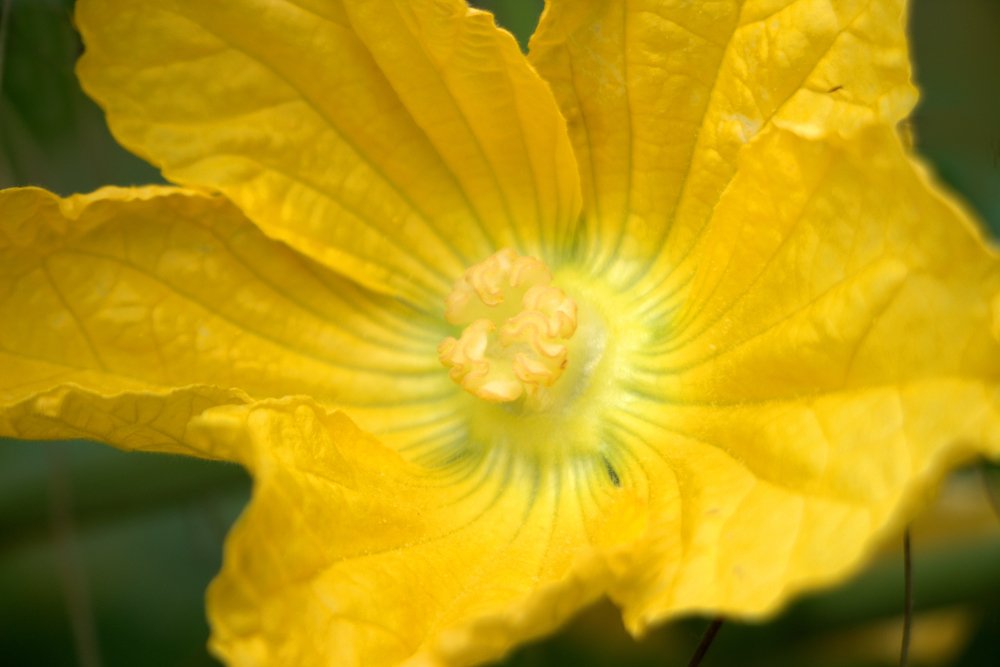 Photograph by Mijanur Rahman Md.