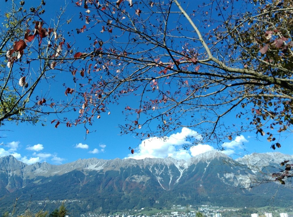 Photograph by Zsofia Schmidt-Mudik