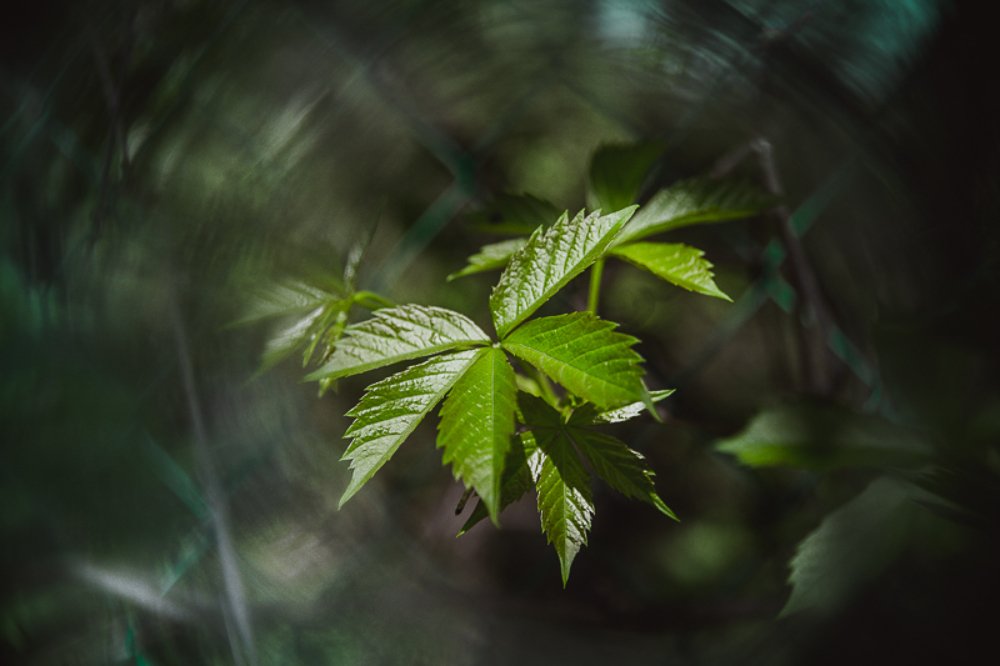 Photograph by Evgeniya Biriukova