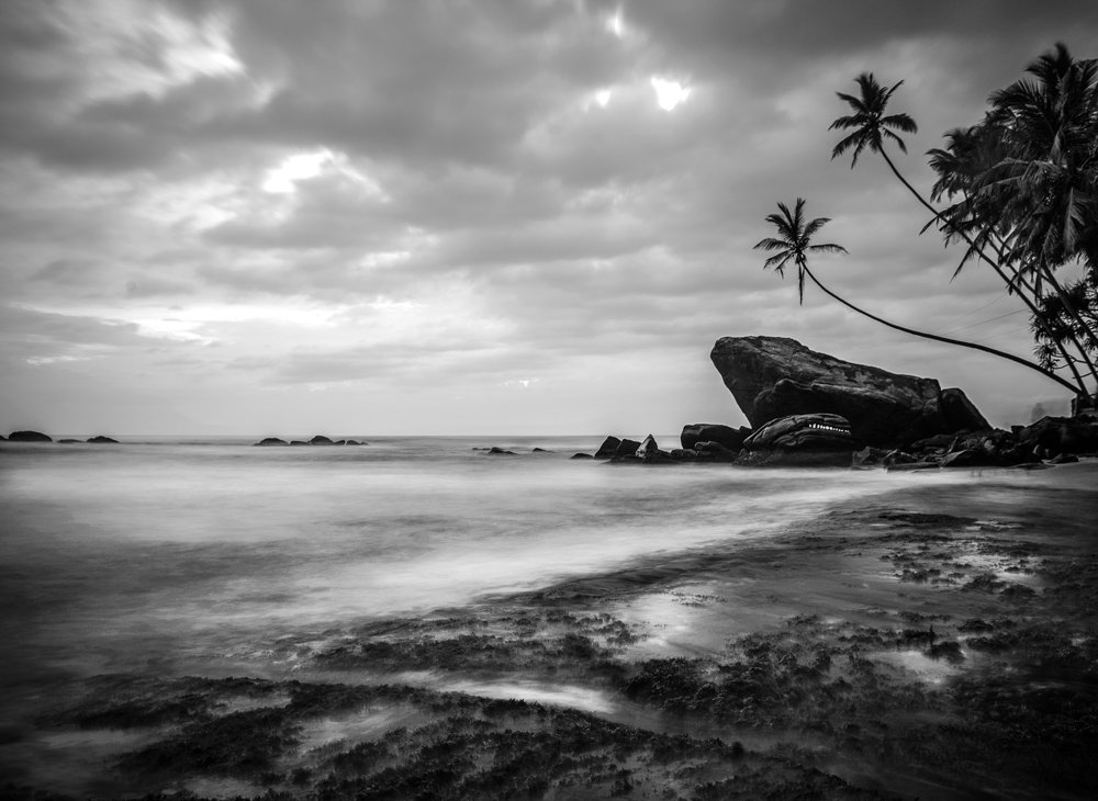 Photograph by pouyan safavi