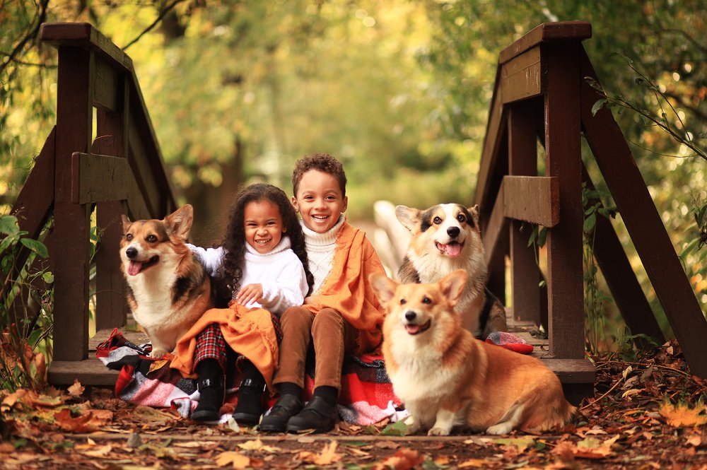 Photograph by Татьяна Гурова