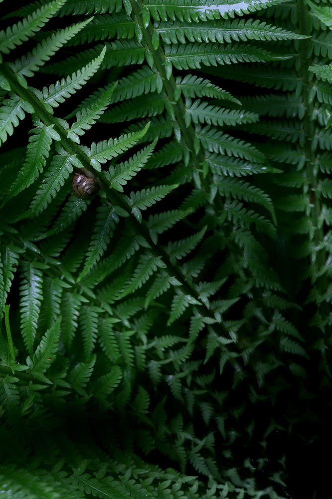 Фотография автора Иваненко Светлана