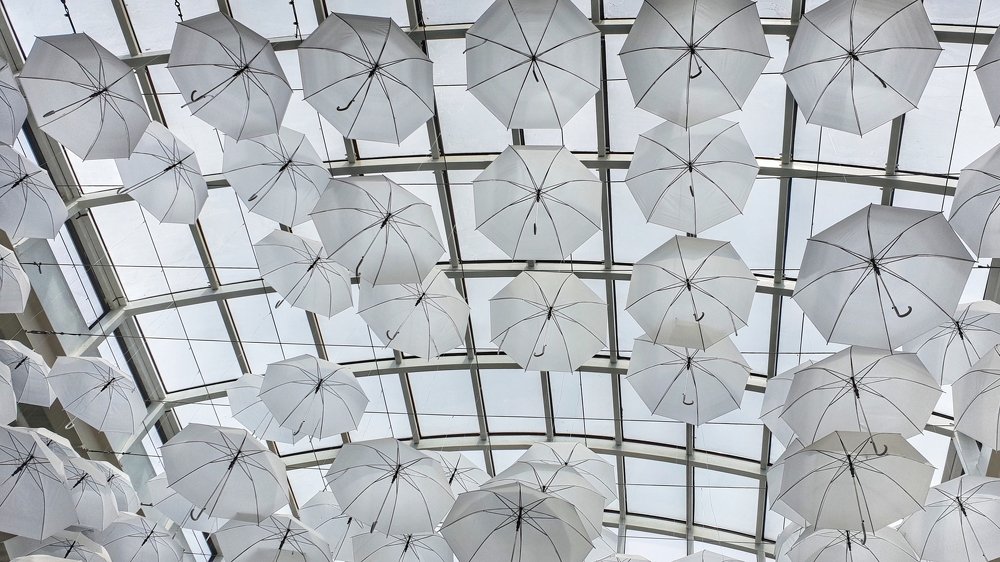 Фотография автора Юлия Егорова