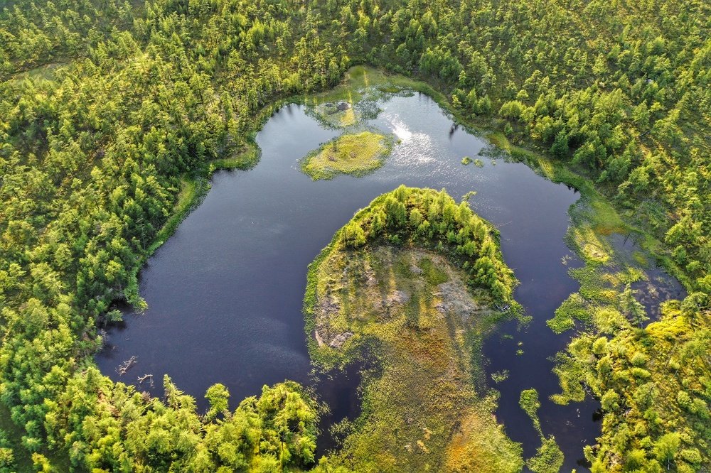 Фотография автора Юлия Егорова