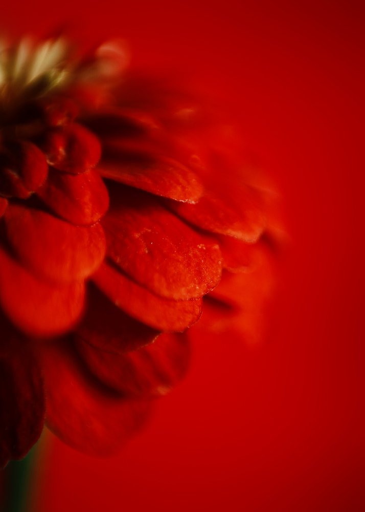 Фотография автора Любовь Бесклубова