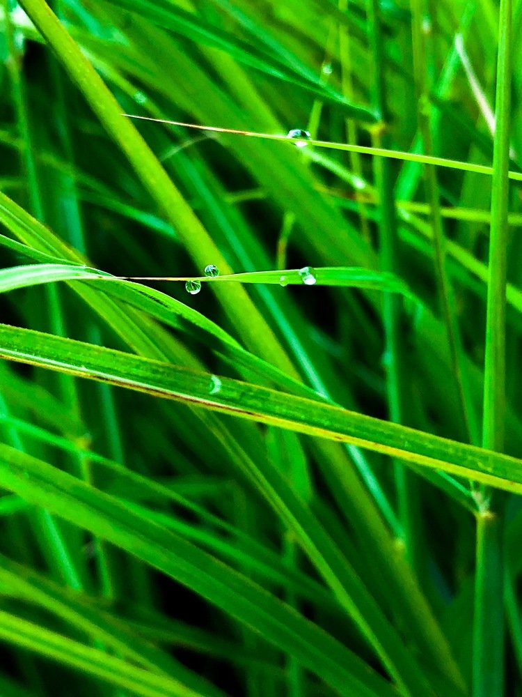 Photograph by Luka Mitrovic