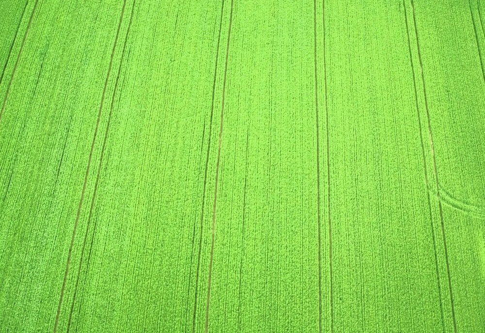 Photograph by Luka Mitrovic