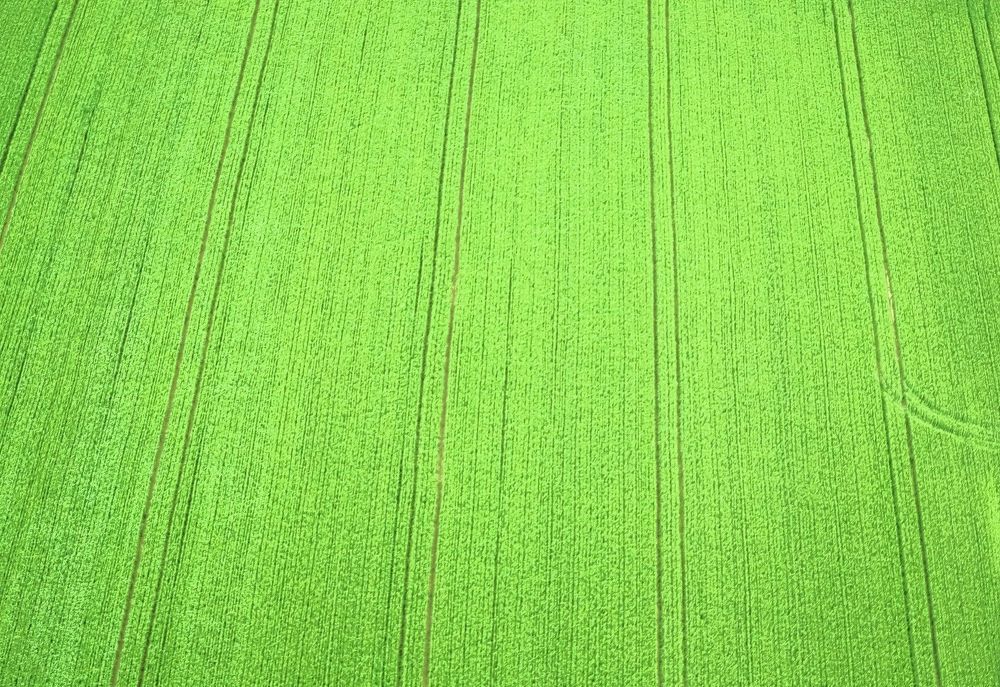 Photograph by Luka Mitrovic