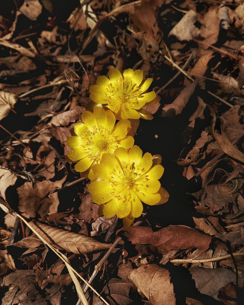 Photograph by Виктор О.