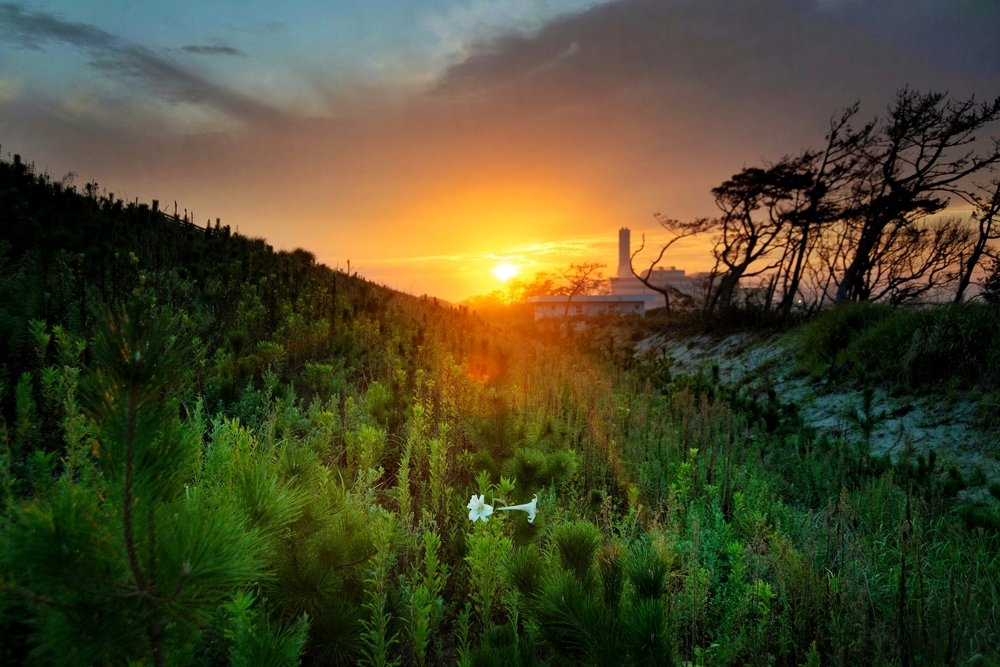 Photograph by Wynn Loner Uy