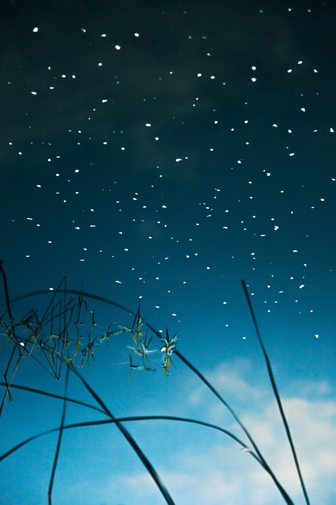 звездная страна