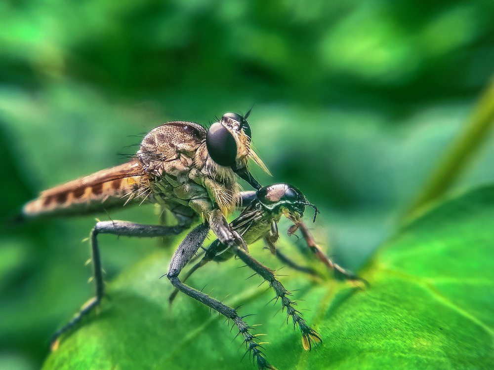 Photograph by Photography Debroto