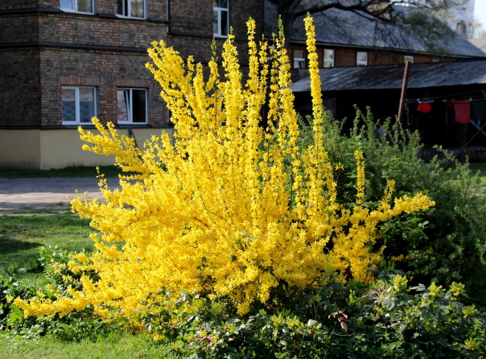 Photograph by Игорь Санюк