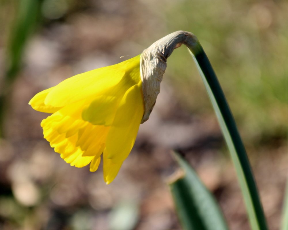 Photograph by Игорь Санюк