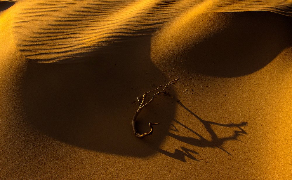 Photograph by Boris Bekelman
