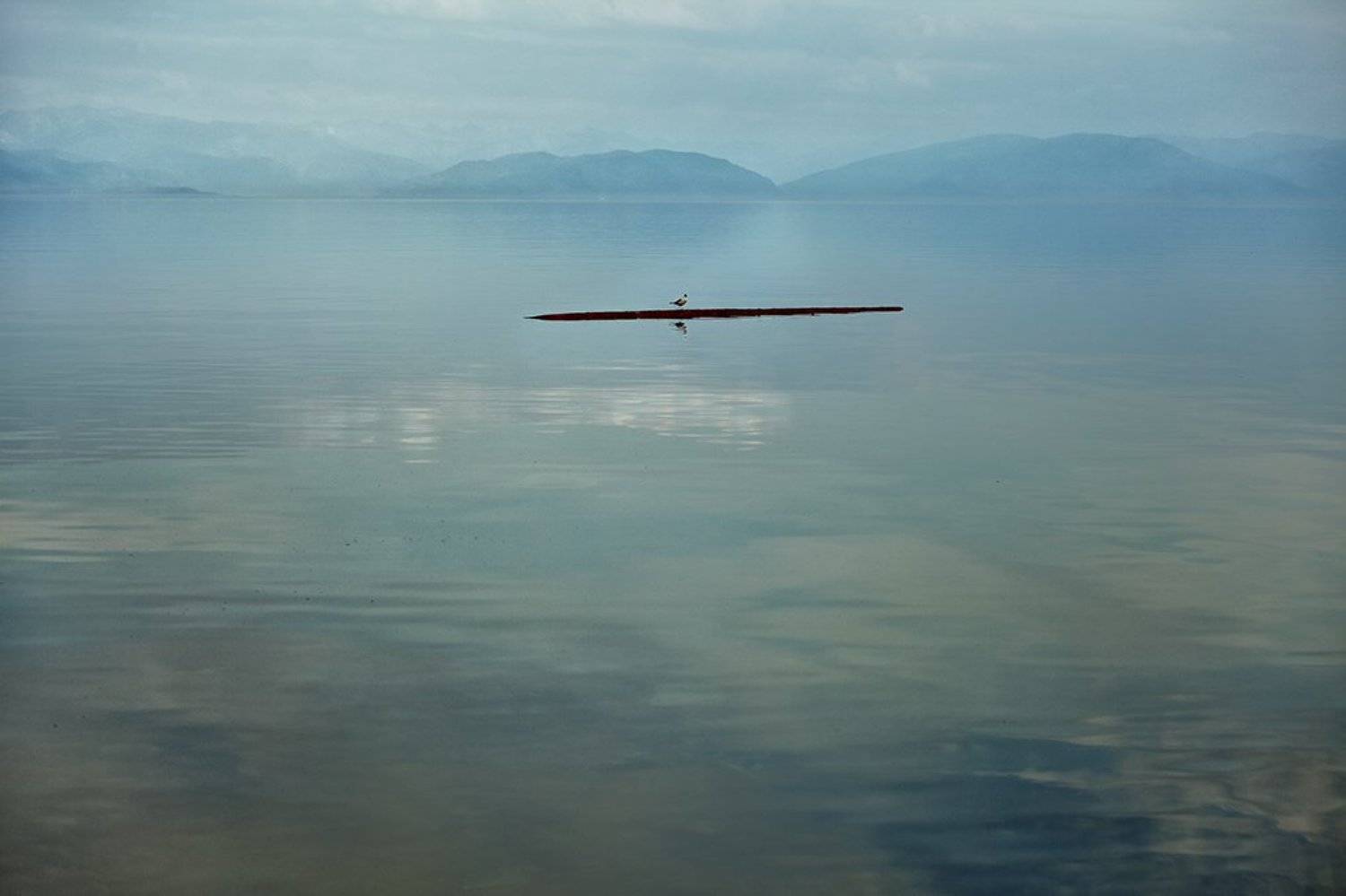 Фотография #3651135