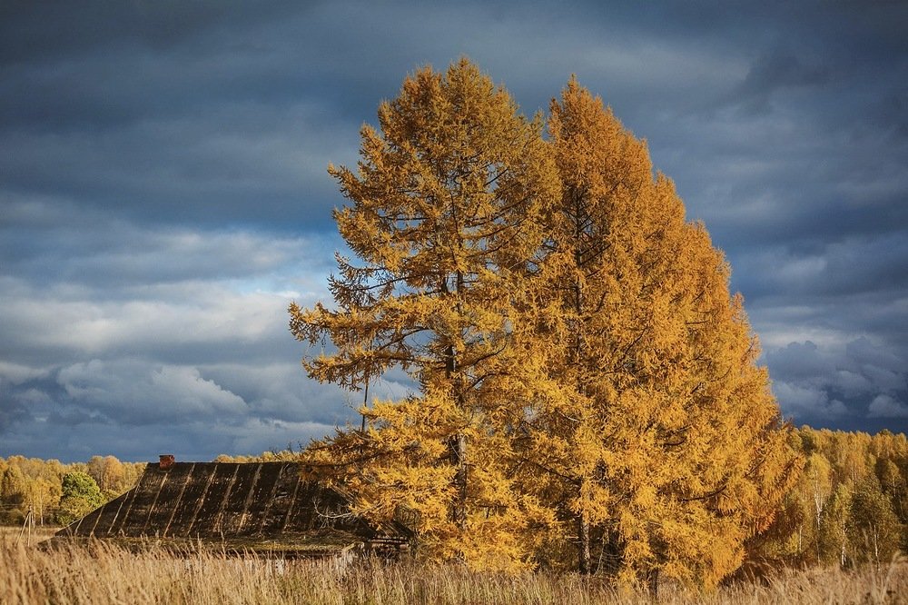 Photograph by Ольга Мурзина