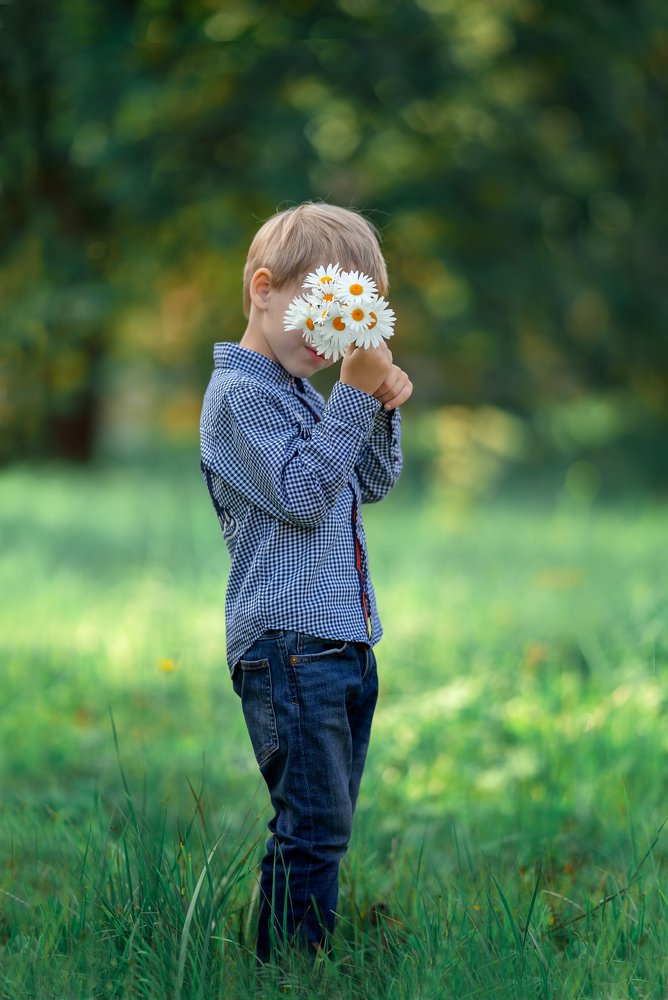 Ромашковое настроение