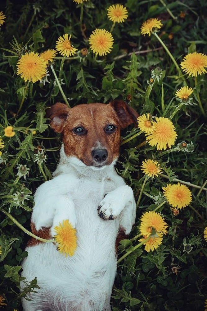 Photograph by Ольга Мурзина