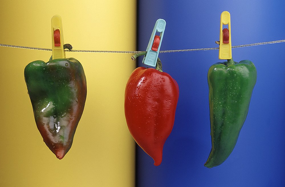 Photograph by Dona Zlatanova