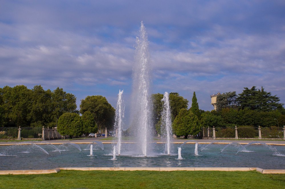 Photograph by Alla Naumenco