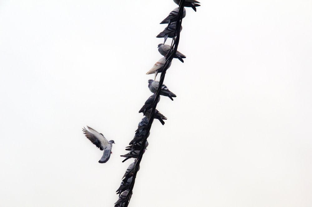 Photograph by  Hamid