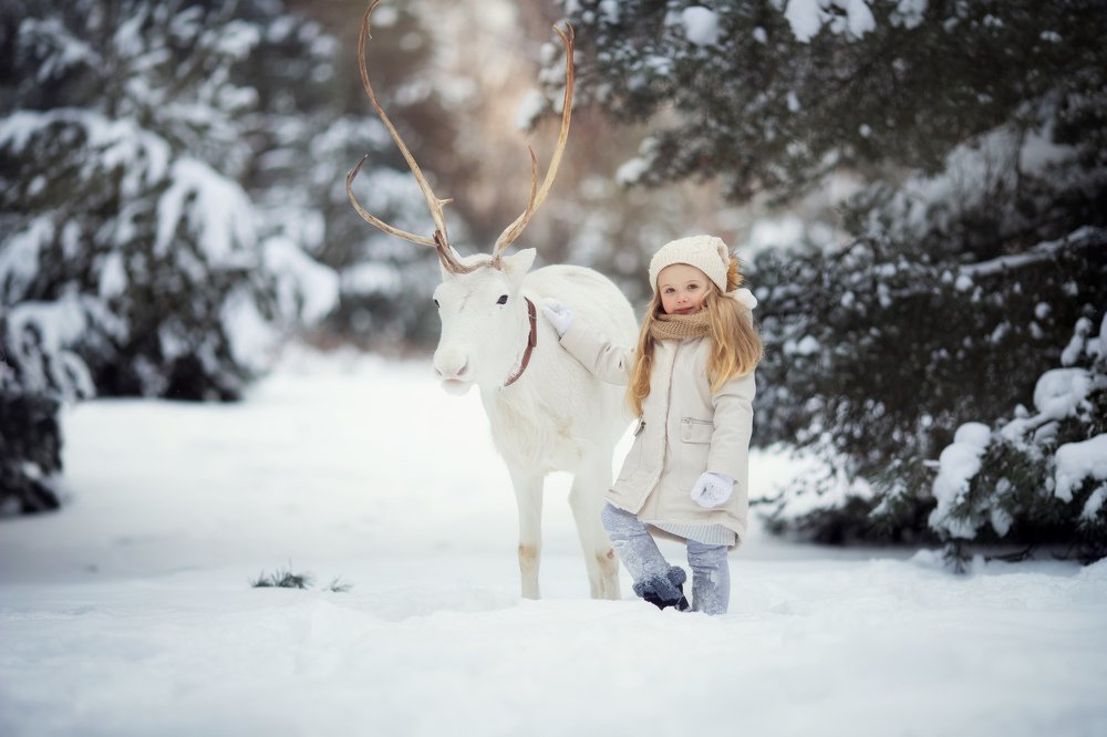 Photograph by Татьяна Гурова
