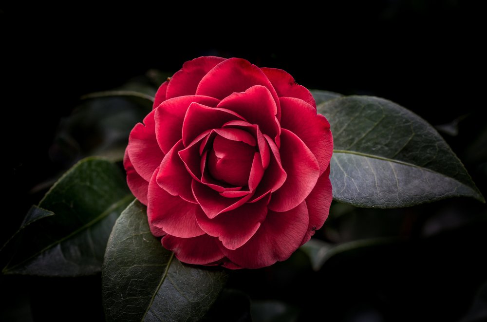 Photograph by Андрей Горюнов