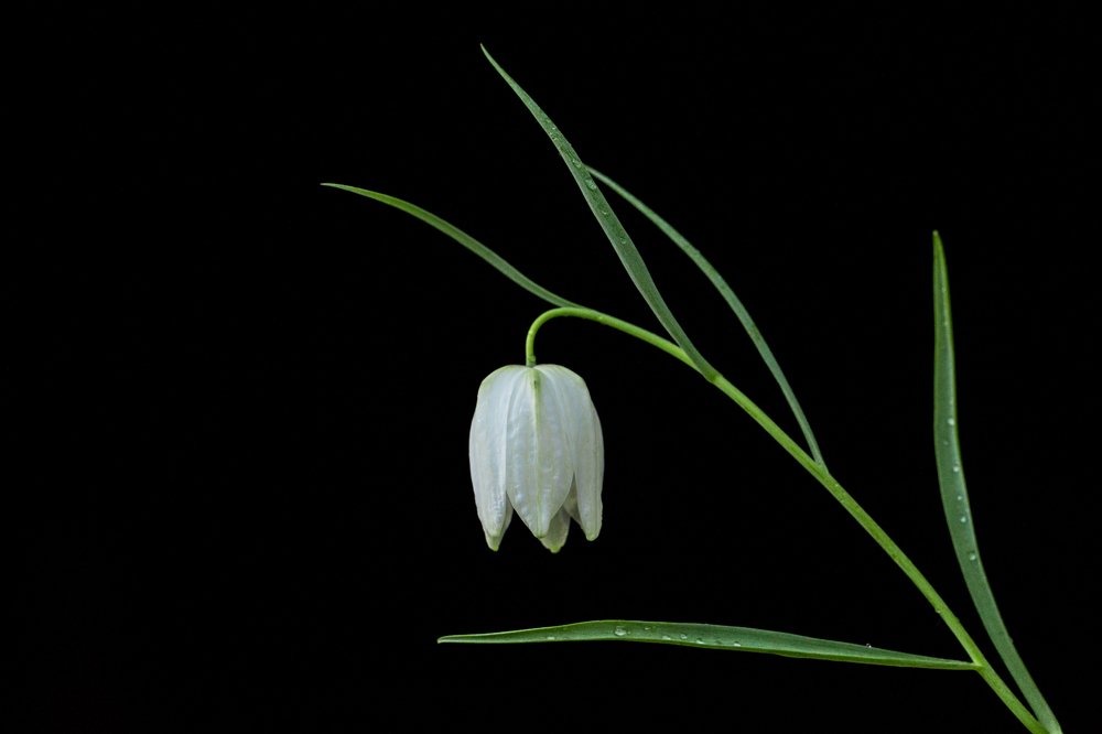 Photograph by Андрей Горюнов