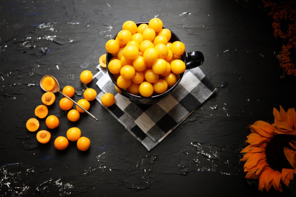 Photograph by Julija Šommet