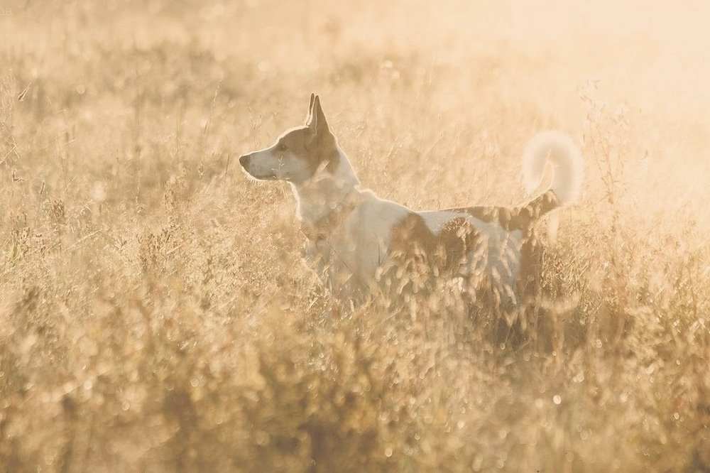 Photograph by Ольга Мурзина