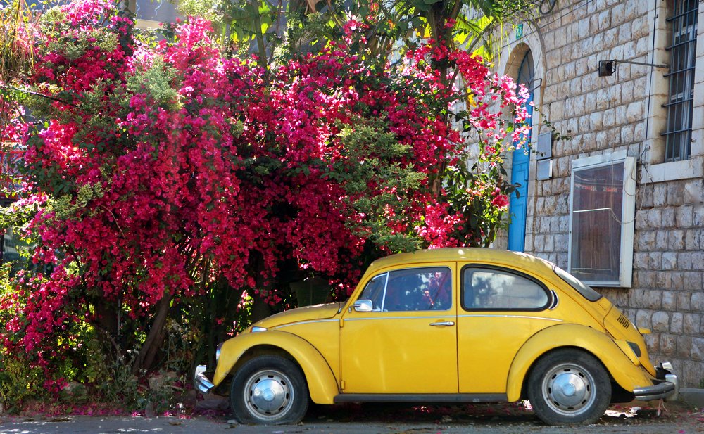 Photograph by Julija Šommet