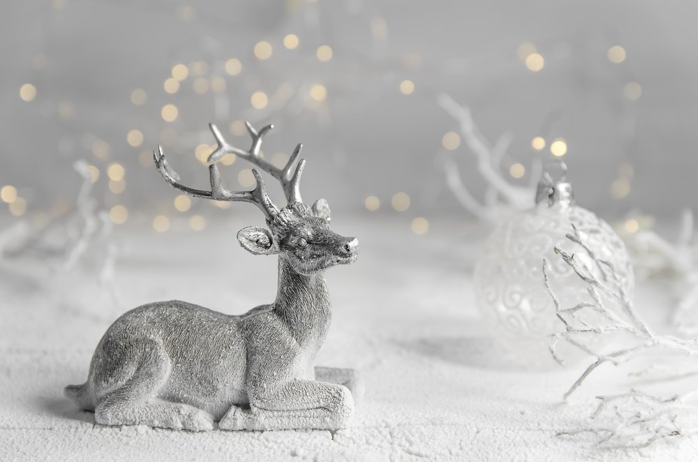 Эта волшебная зима