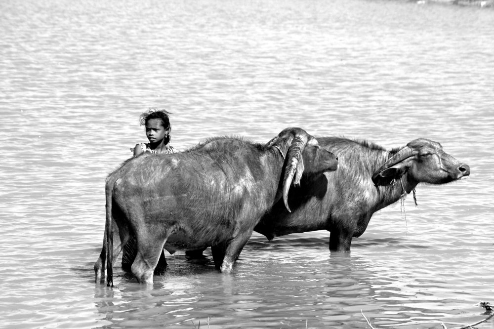 Photograph by viviane decock