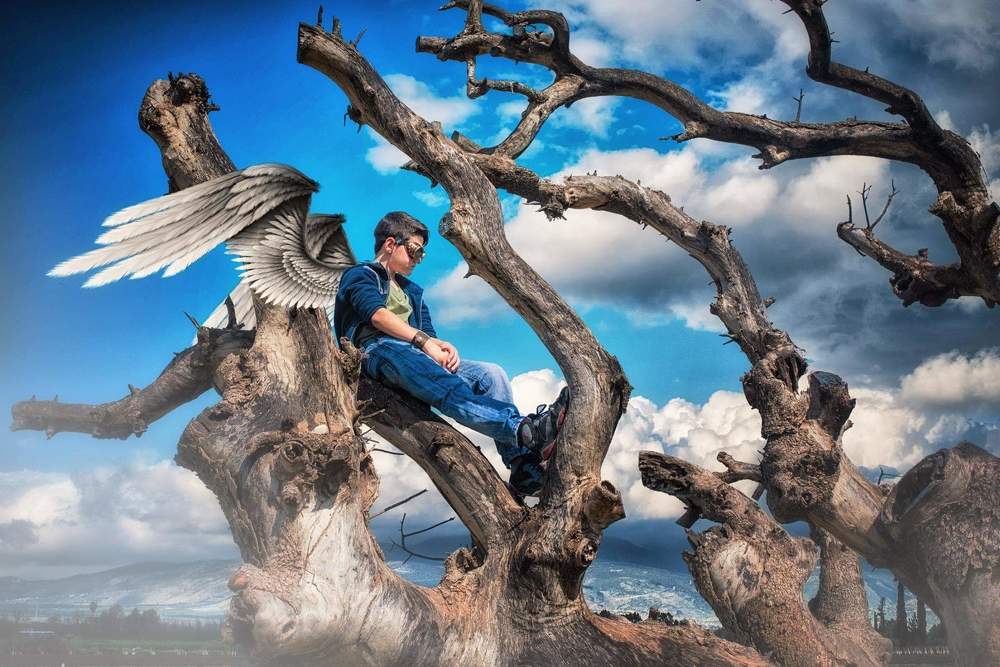 Photograph by Алекс Гейнер