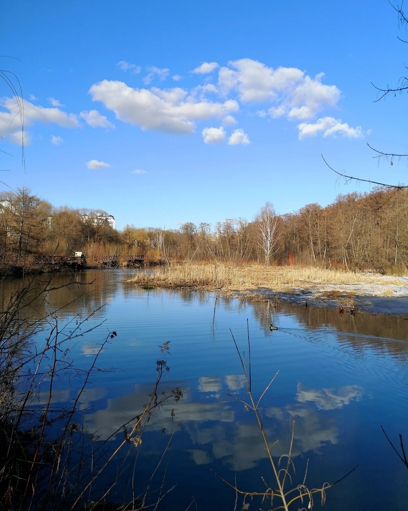 Река Химка. Весна