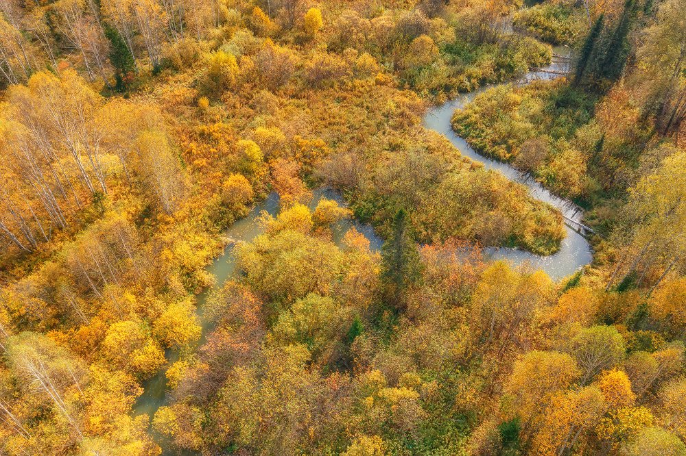 Водная артерия Земли.