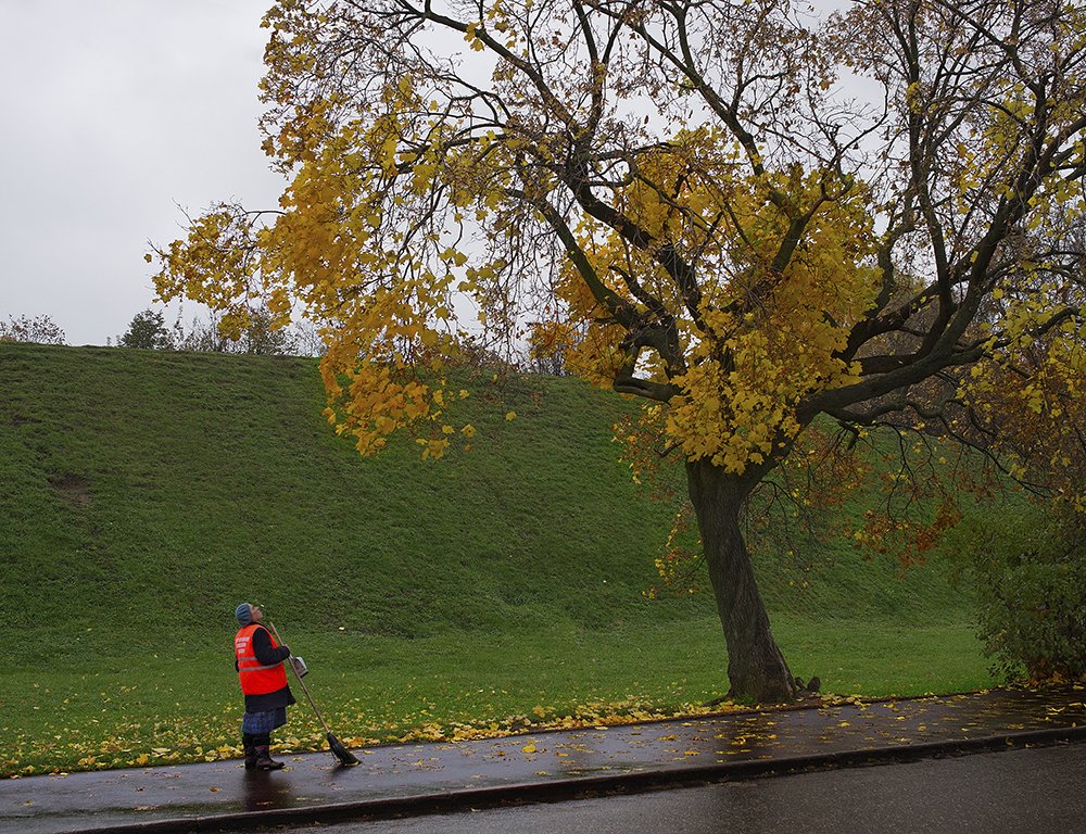 Метлою осень не прогнать...