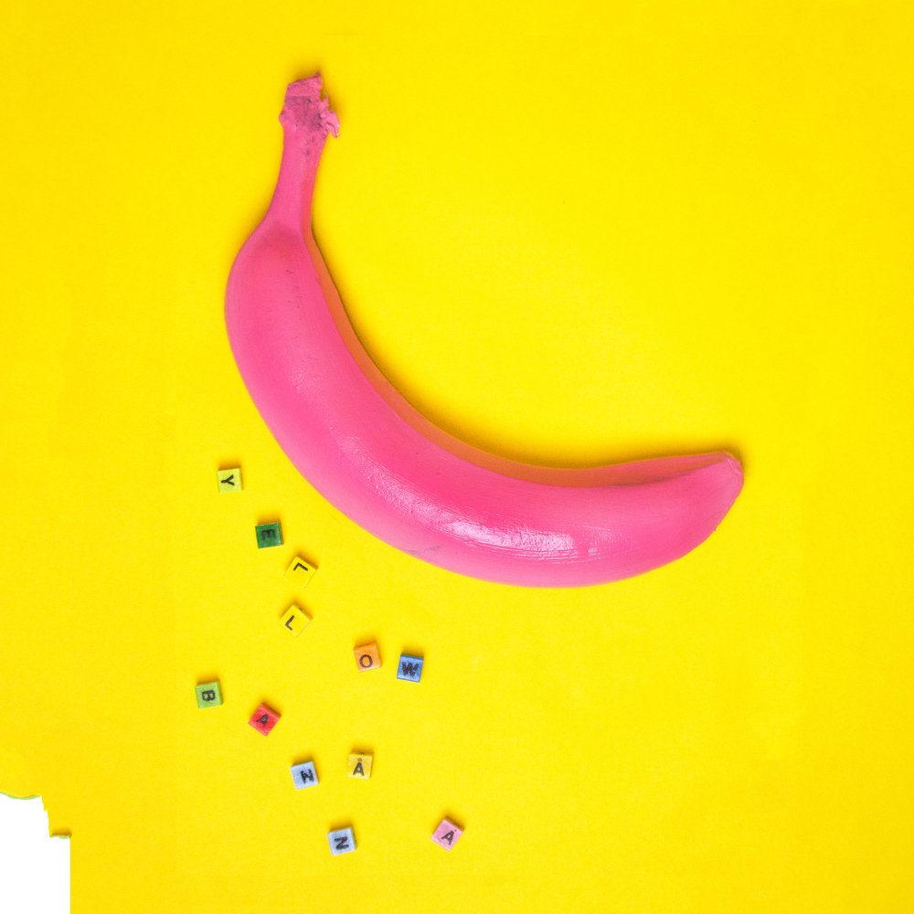 Photograph by Wojciech Grzegorczyk