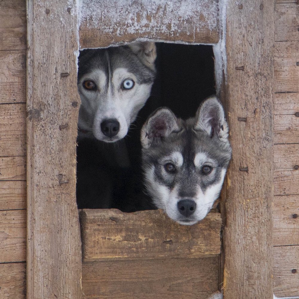 Photograph by Анна Кныш