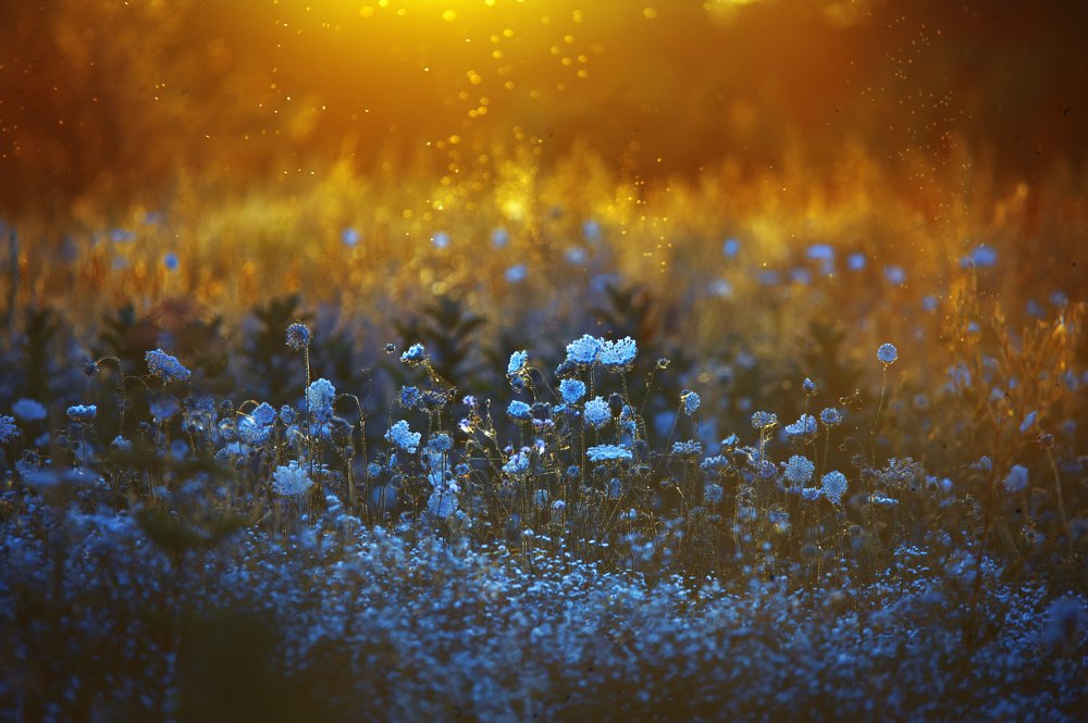 Photograph by Наталия Миготина