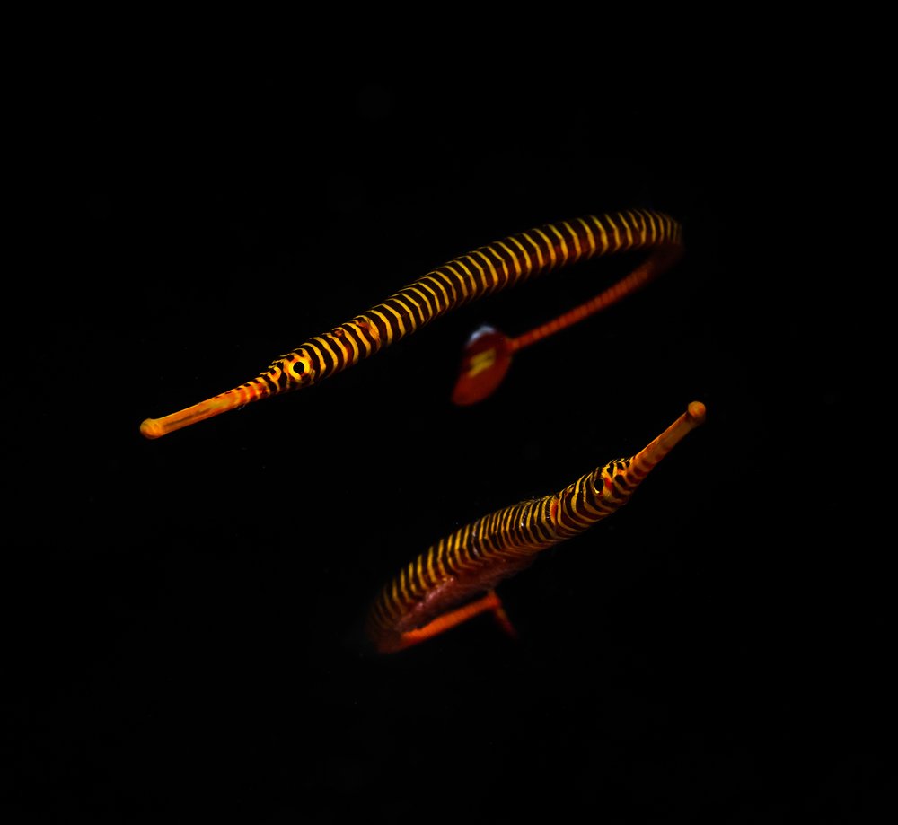 Photograph by Андрей Савин