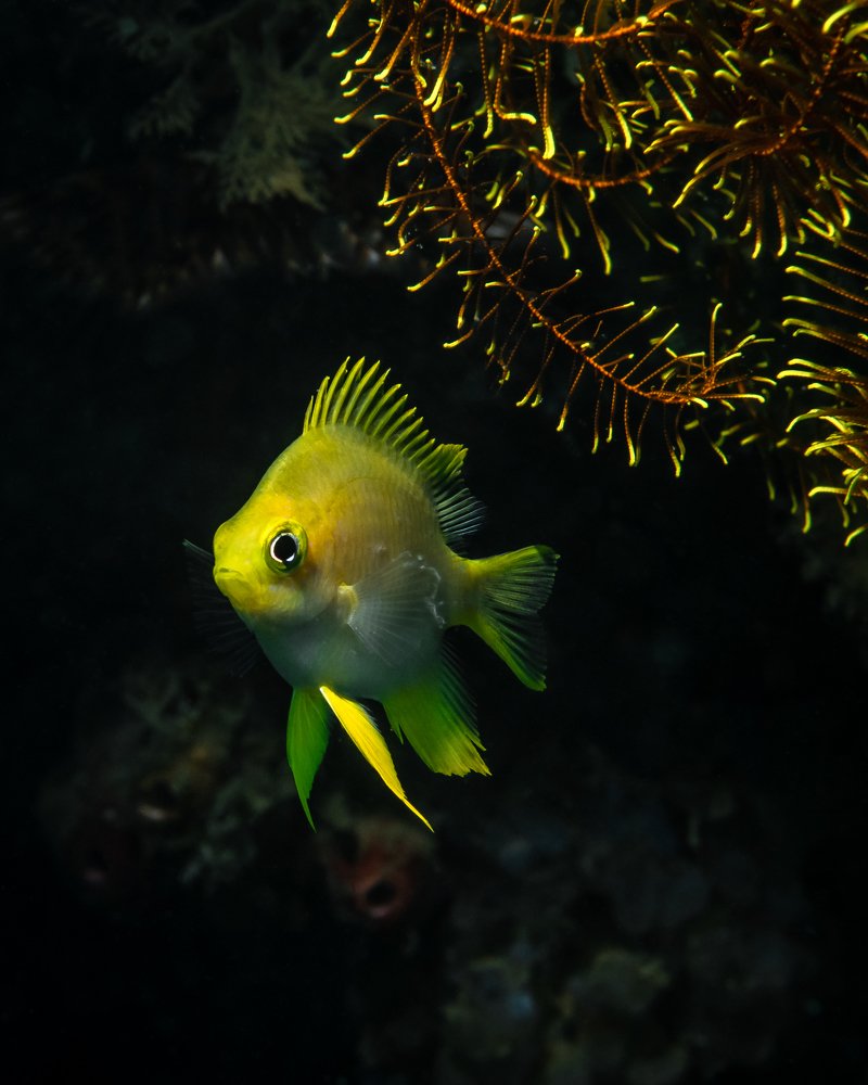 Photograph by Андрей Савин