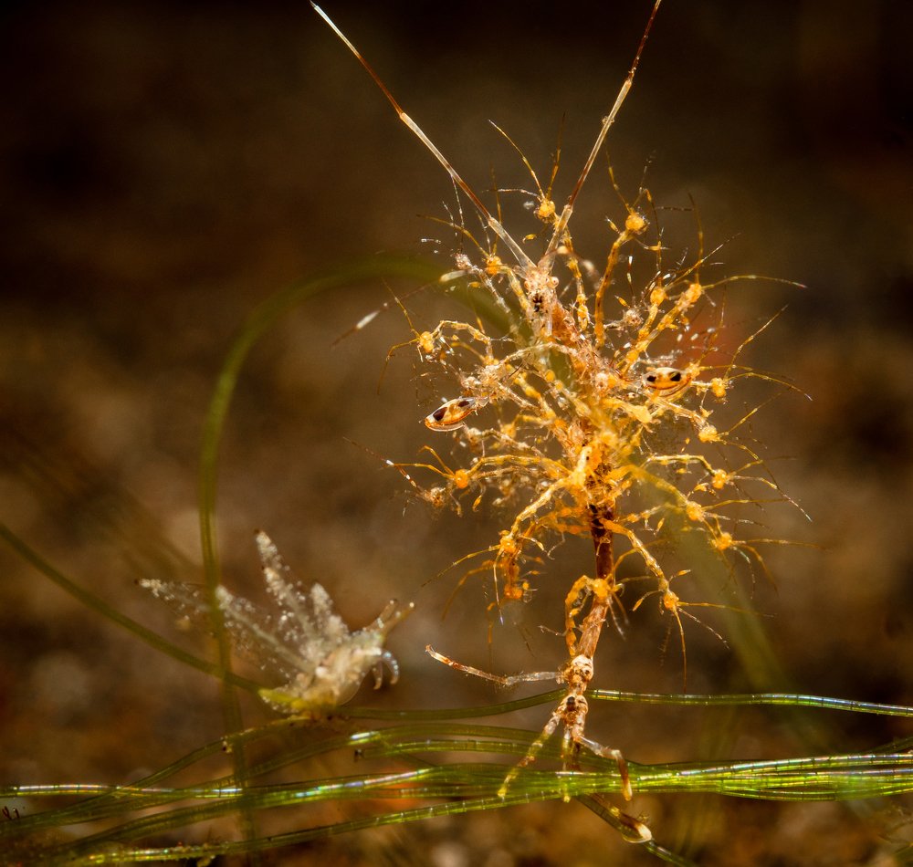 Photograph by Андрей Савин