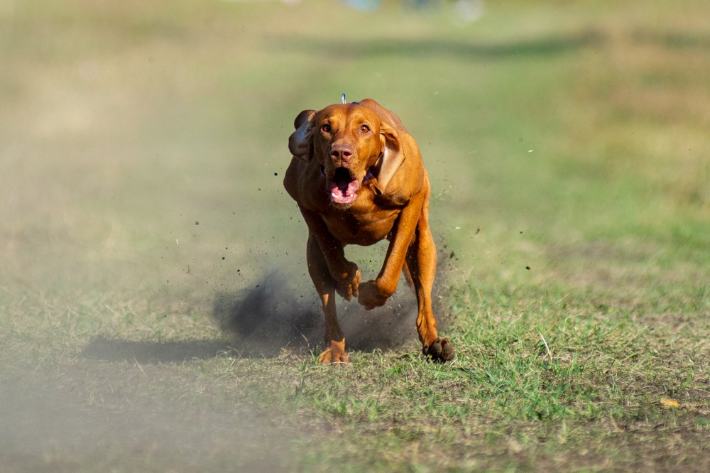 Photograph by Николай Позиненко