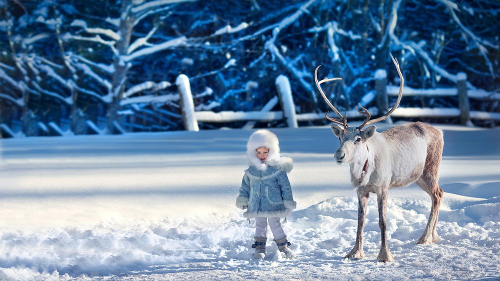 Photograph by Елена Алгазина